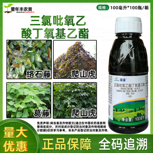 屠灌三氯吡氧乙酸除杂灌构树灭葛藤蔓络石藤专用阔叶除草烂根剂