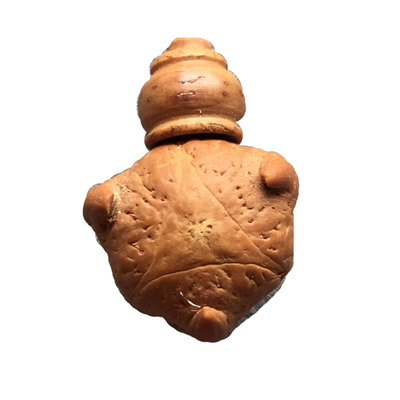 极速精高密天然凤眼菩提龙眼菩y提麒麟眼菩提恶魔龙眼五星上将三