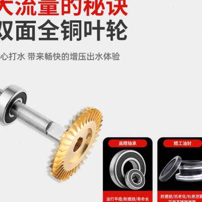 极速爆品家用增压泵全自动自来水全屋加压泵1N寸管道抽水机220v小
