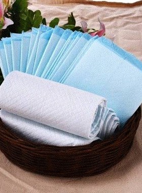 极速Dog diaper 100 ppet diapers dog diaper pad water deodora