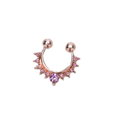 极速Alloy Hoop Nose Ring Nose Piercing Fake PiercinVg Septum