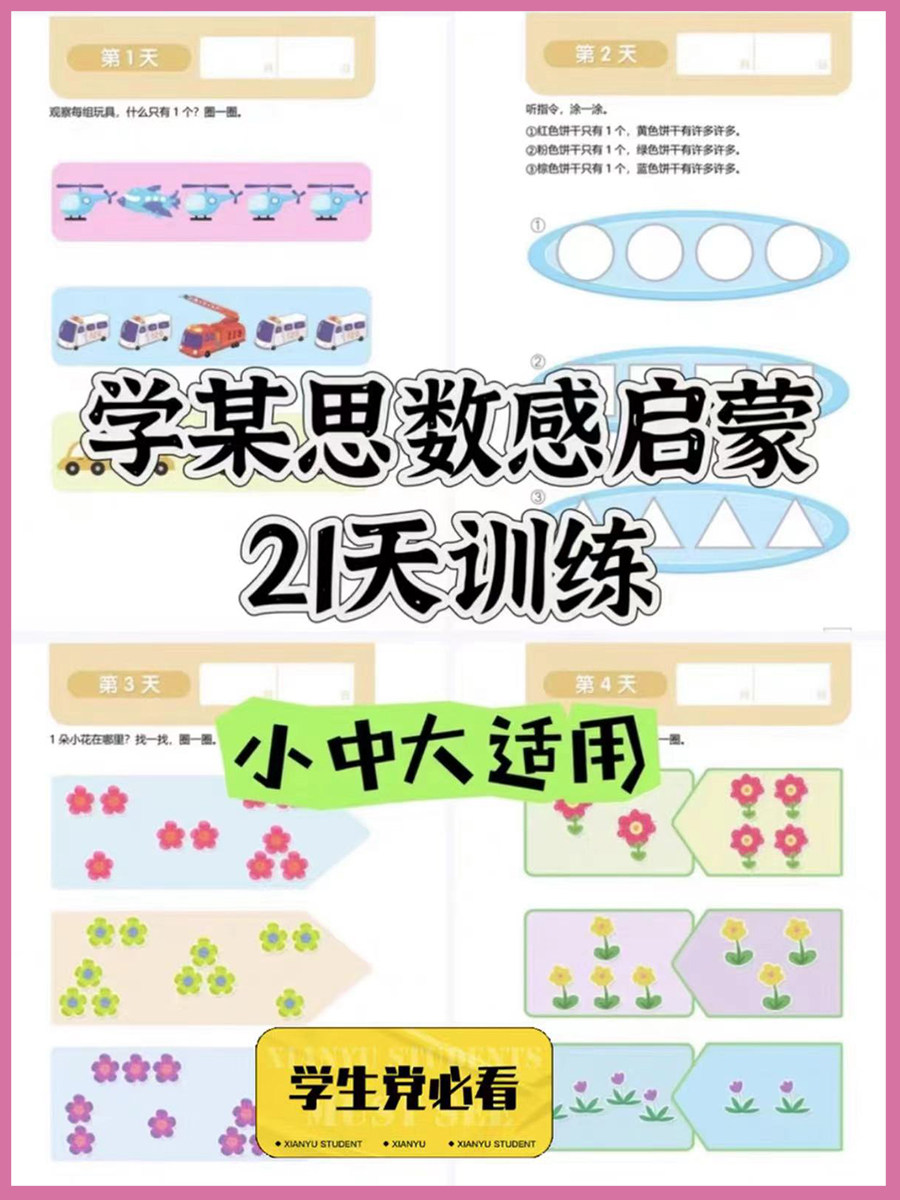 21天学某思数感训练手册幼小衔接数感训练作业纸电子文档pdf