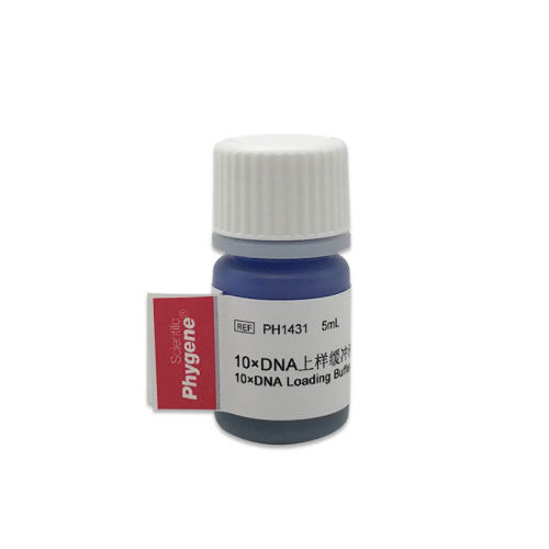 10DNA上样缓冲液 10DNA Loading Buffer 10mL 核酸电泳实验