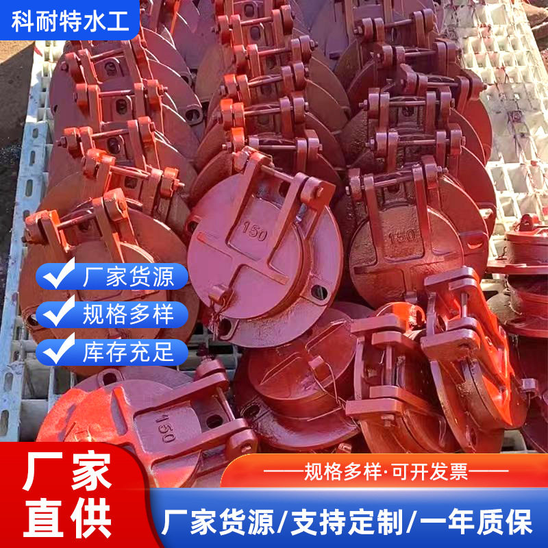 水利设备厂家铸铁镶铜拍门市政管道钢制拍门雨水管道玻璃钢闸门