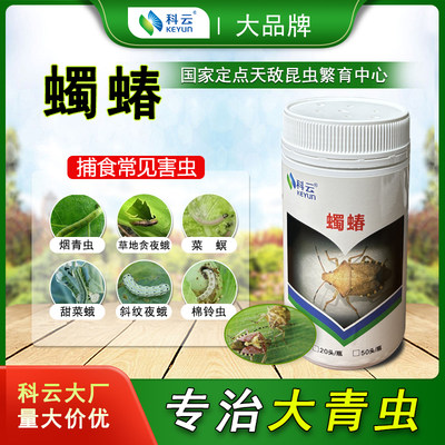 科云生物天敌昆虫玉米蔬菜用防害