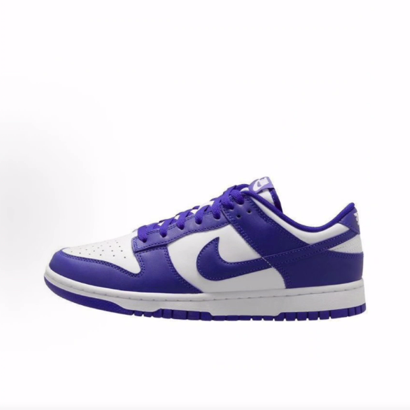 Nike Dunk LOW 低帮 板鞋 男款 蓝色