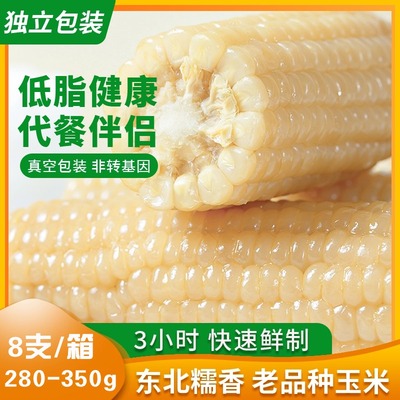 芊丽态东北白糯黏玉米新鲜香甜玉米棒280g*8根非转基因真空粘苞米