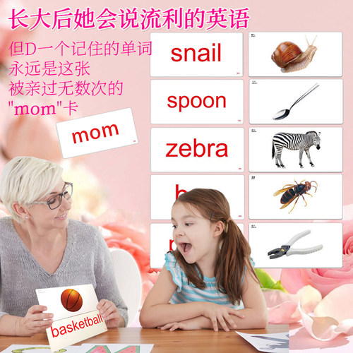 杜曼闪卡英文单词卡英文启蒙