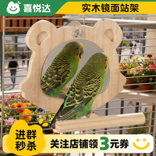鹦鹉镜面站架牡丹玄凤虎皮观赏趣味互动实木站杆挂笼鸟用镜子玩具