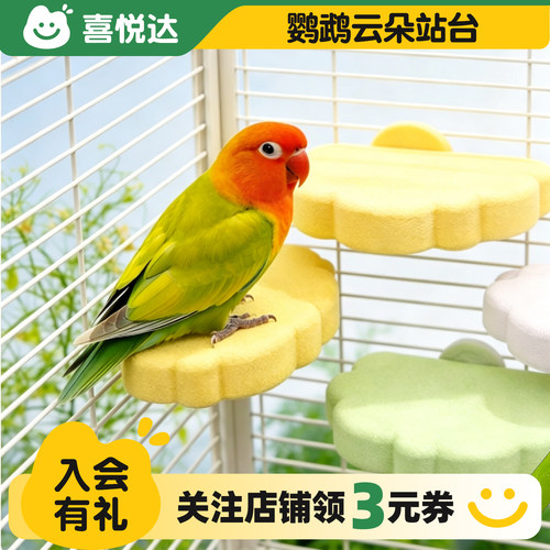 鹦鹉站台站架磨嘴磨爪爬梯鸟玩具