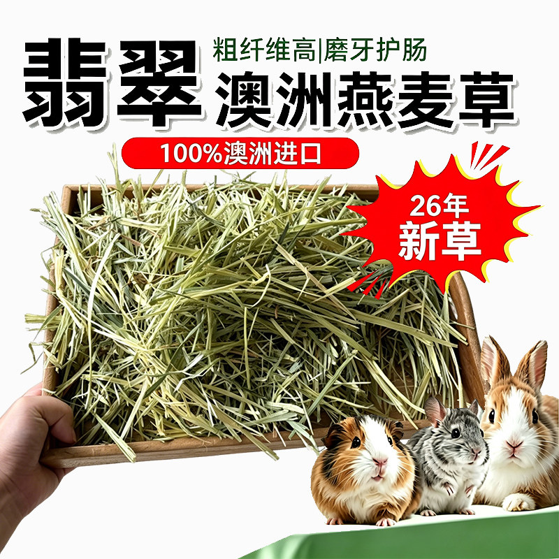 澳洲进口翡翠黄金燕麦草兔子干草