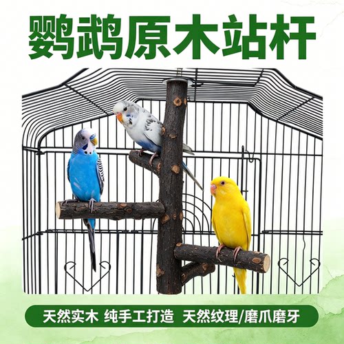 鹦鹉磨爪休息啃咬实木站杆鸟用品