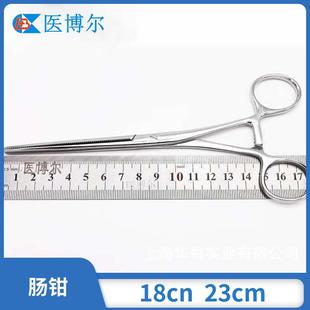 现货不锈钢18cm23cm肠钳宠物裁耳钳肛肠科大钳子采耳钳肠钳