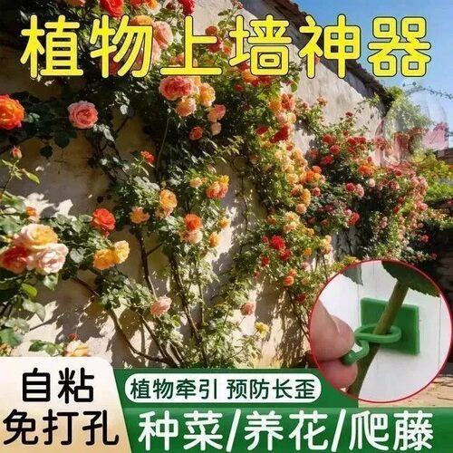 蔷薇月季绿萝爬墙不伤墙固定器