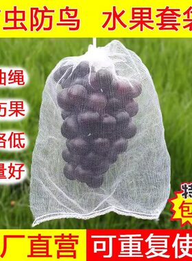 水果套袋防鸟通用袋瓜果防虫专用袋无花果枇杷葡萄桃子苦瓜网眼袋
