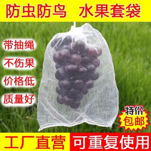 水果套袋防鸟通用袋瓜果防虫专用袋无花果枇杷葡萄桃子苦瓜网眼袋