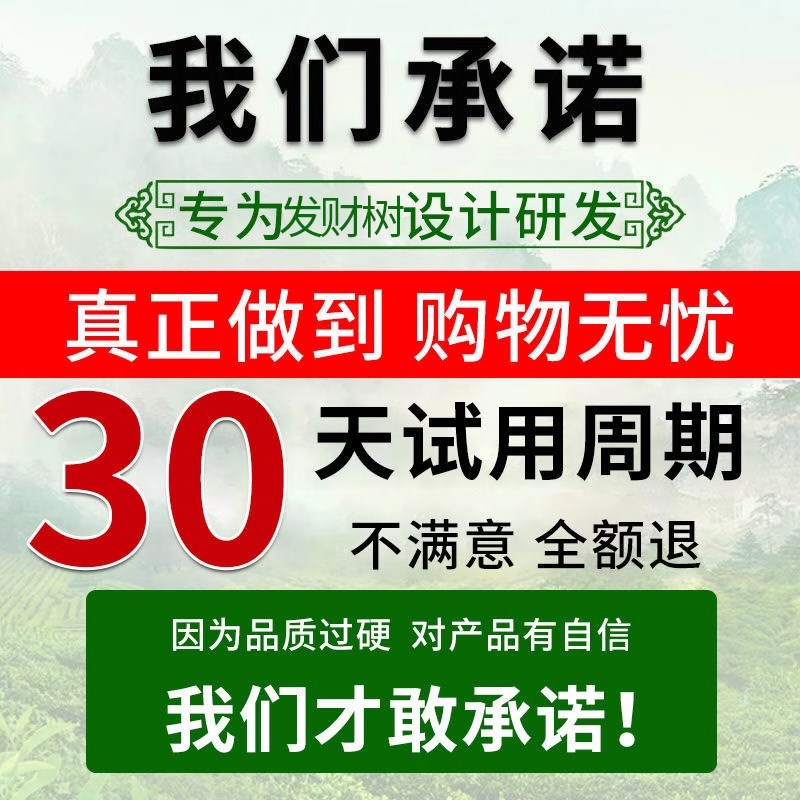 速发发财树黄叶枯叶烂根药掉叶斑病剂强力生根发芽复活营养液