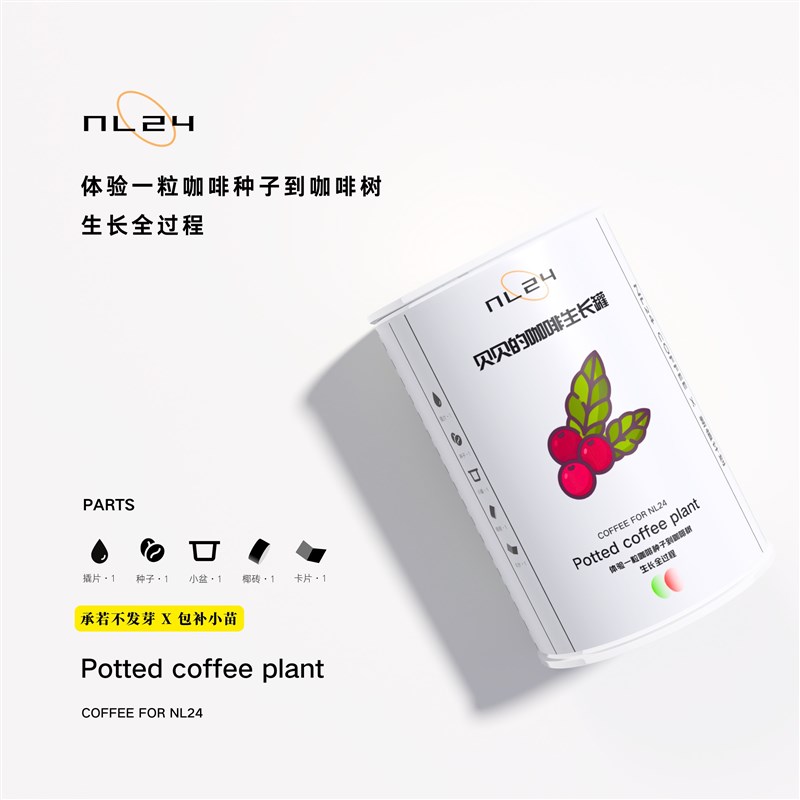 速发承诺发芽L24咖啡小苗生长罐观察盆栽 超级可爱礼物植物