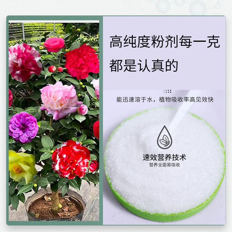速发肥料家用盆栽有机水溶肥料植物花肥
