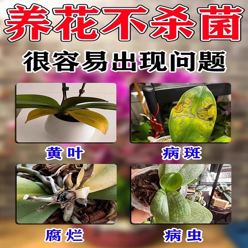 速发蝴蝶兰烂根药强力生根药水复活兰花死棵急救壮苗剂营养液