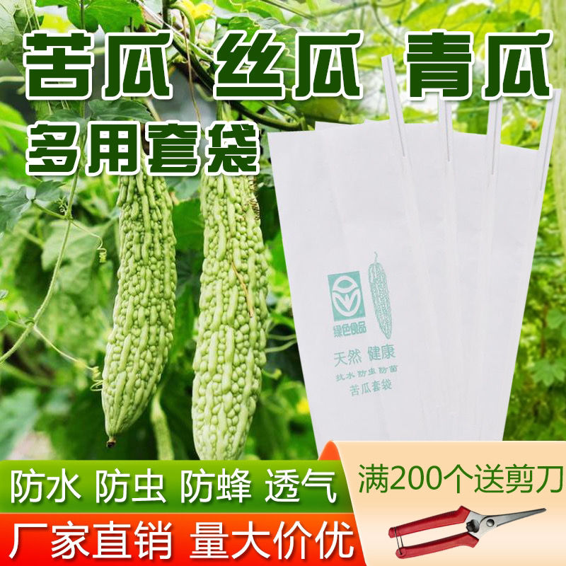 速发包瓜苦袋套瓜网袋子丝黄瓜瓜茄子蔬菜防果蝇防鸟防虫纱网透明