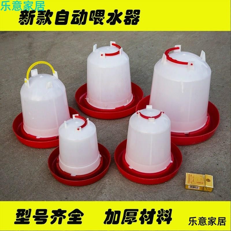 速发鸽子用品用具食槽水壶自动喂水喂食饮水器鸟食罐下料防撒防溅