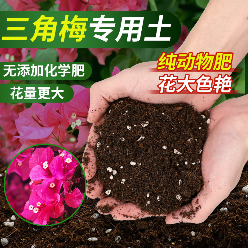 速发三角梅专用营养花开土专用土花土盆栽肥壤土料泥土种植土有机图片
