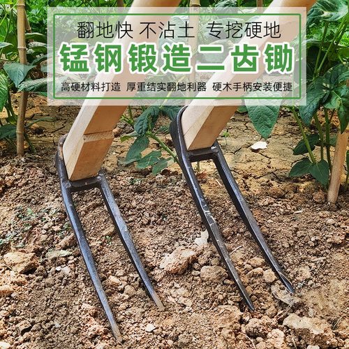 速发农用二齿锄刨挖地翻土头地老式挖笋农用工具大全两子耙齿家用