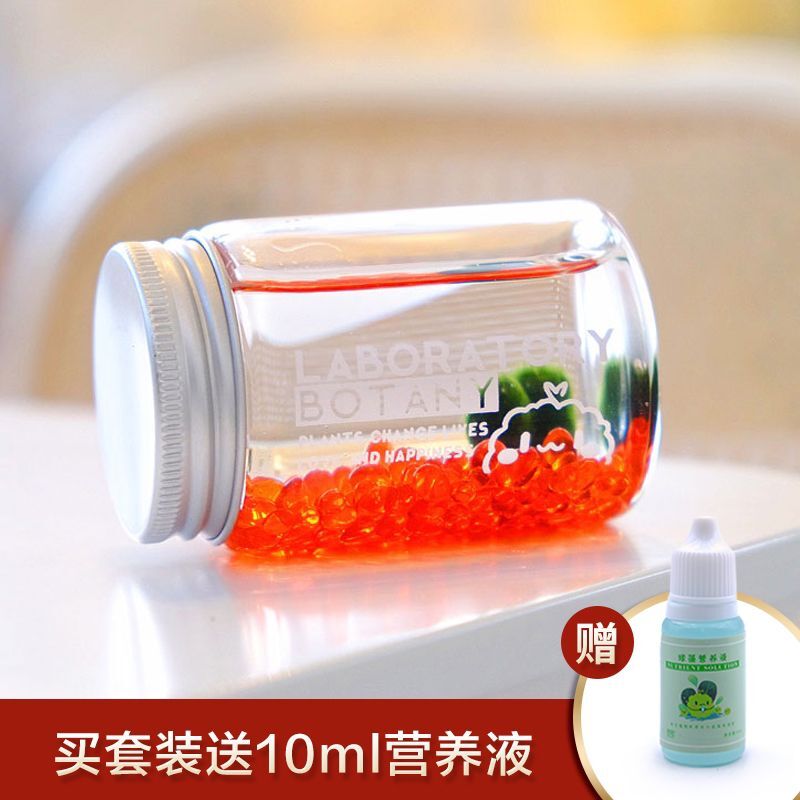 速发小海藻球生态瓶观微景虾造景成免品打理观赏随身套装密封水草