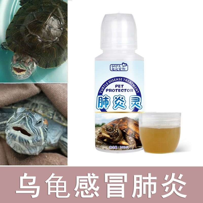 速发乌龟感冒涕炎叫张嘴呼吸药声侧浮流鼻肺龟草龟肠炎乌龟药