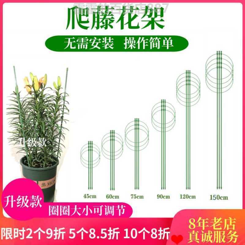 速发爬藤花架易艺月季铁线莲番茄百合植物铁栽攀爬防垂家用简盆支