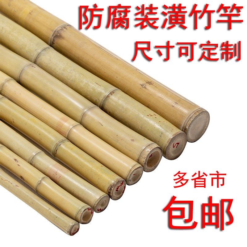 速发防杆竹竿竿米竹子室内装饰竹2棍长竹腐菜园搭架户外隔断挡墙