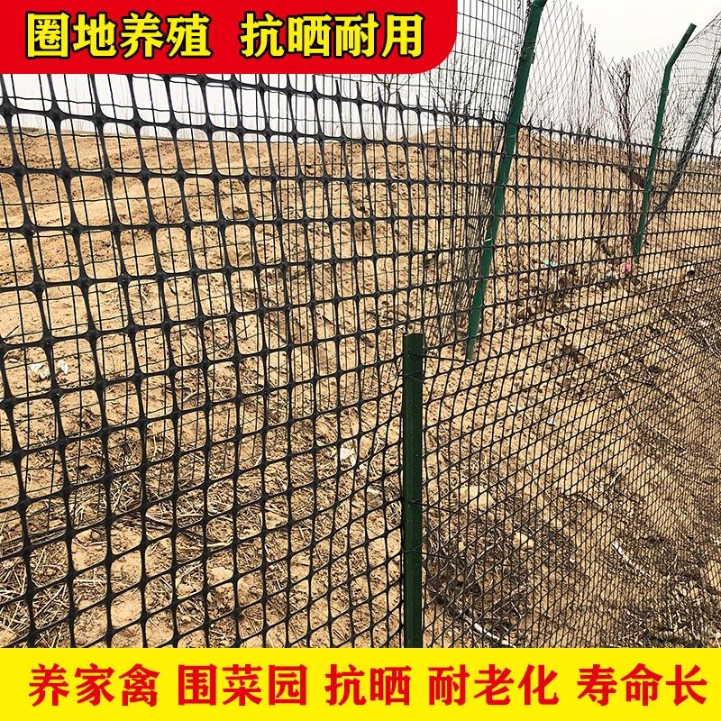 网养殖防护拦鸡鸭胶网家用菜园玉米护栏栅栏户外养鸡塑料围围栏网,个性定制/设计服务/DIY,明信片定制,淘宝优惠券,粉丝福利购,淘宝优惠卷