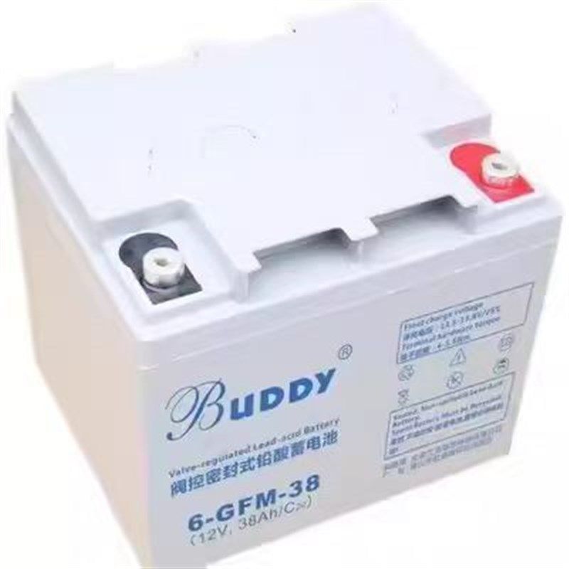 BUDDY宝迪蓄电池6-GFM12V24AH38AH65AH100AH UPS/EPS监控机房铅酸