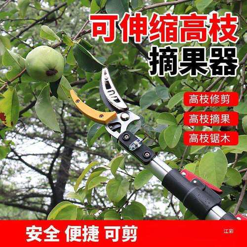 高枝剪伸缩摘果剪采摘器高空摘果锯树枝修枝剪摘荔枝枇杷龙眼
