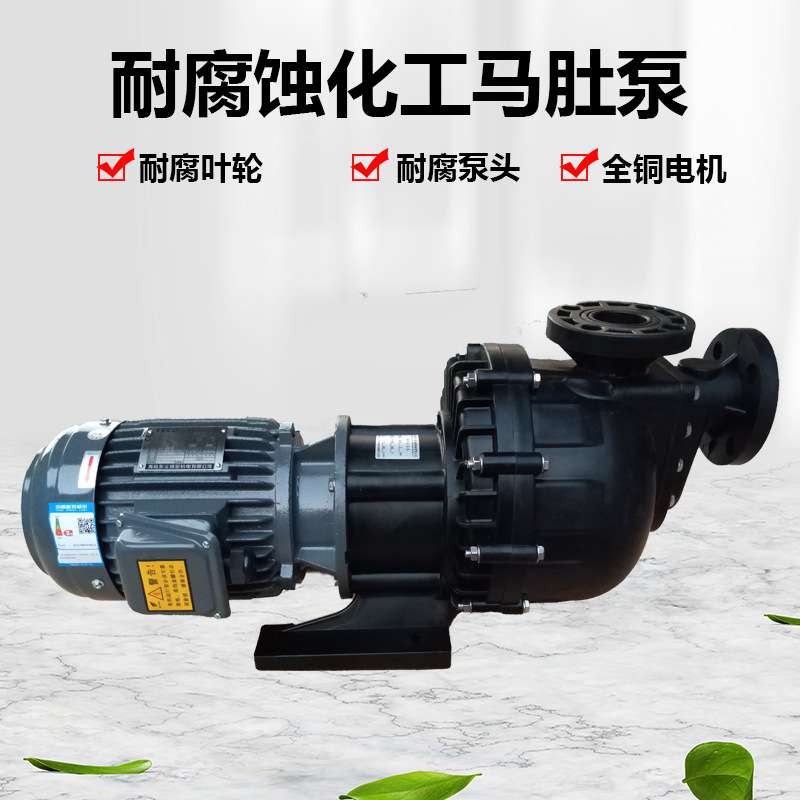 马肚泵塑料化工泵电镀水泵东元电机大头泵槽外泵卧式耐酸碱自吸泵