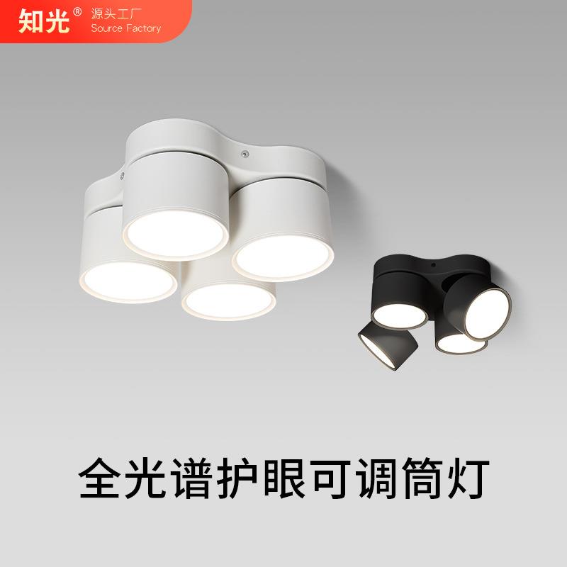 极简家用明装筒灯可调角度客厅无主灯led智能双头四头折叠斗胆灯