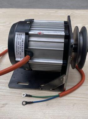 瓦低速0vHZ家用厂家5022伏赫兹无刷风力w发电机永磁交流水力3000