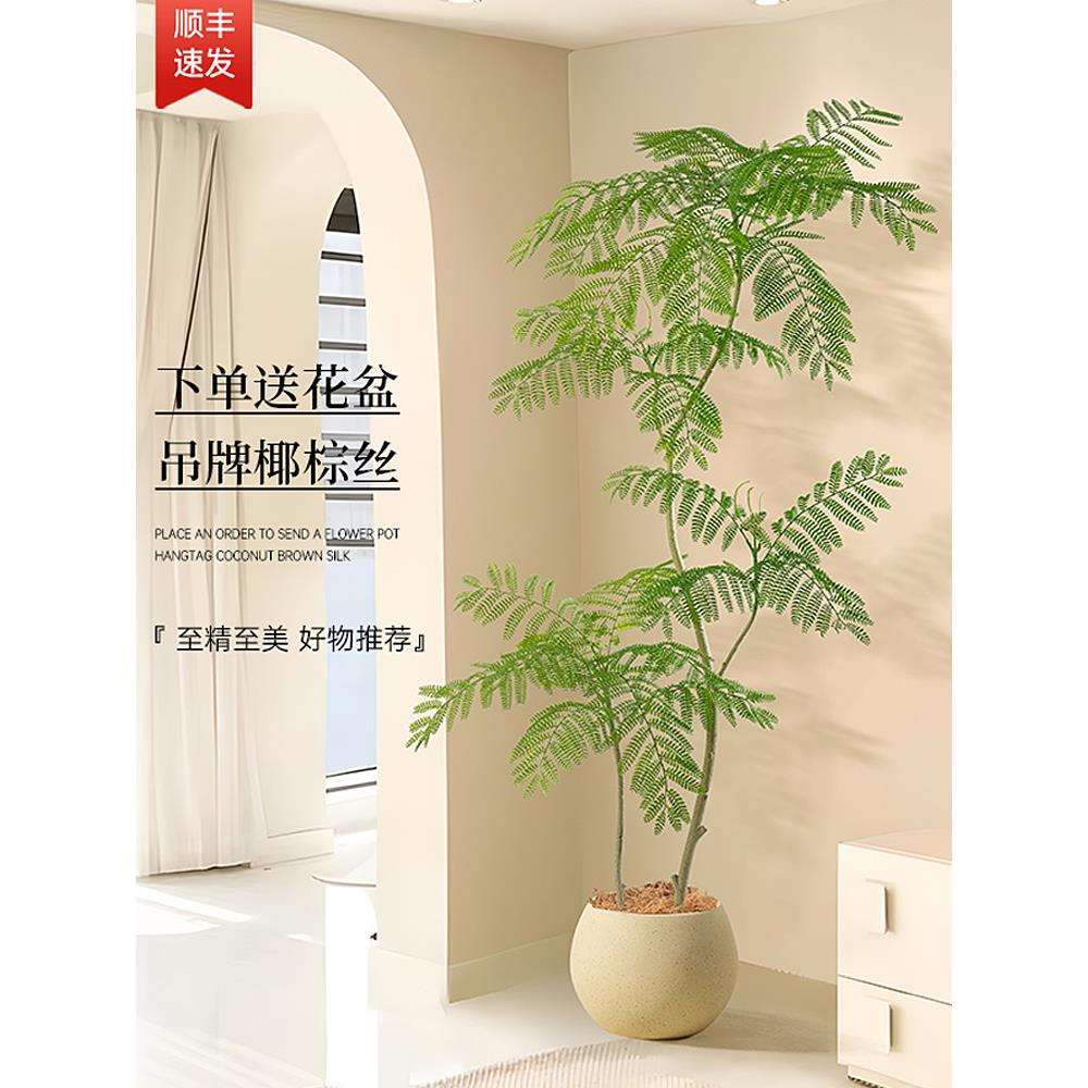 仿真蓝花楹客厅家居装饰绿色仿生绿植室内大型落地盆栽假植物造景