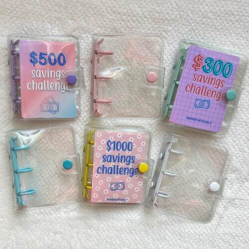 Mini Binder Savings Challenge budget planner money organizer