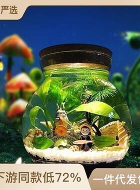 速发生态瓶微景观水族箱造景斗鱼缸办公桌面客厅玻璃鱼缸生态球微