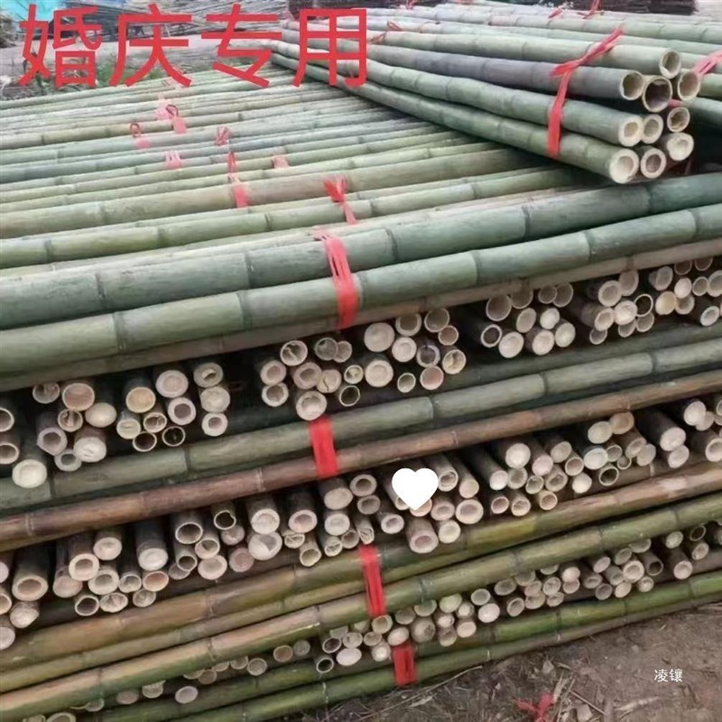 速发竹竿碳化竹子装饰楠竹立柱隔断装修防腐民宿吊顶毛竹搭架竹杆