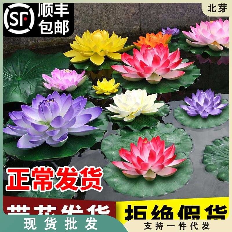 速发【直播】睡莲水培植物荷花带花水池塘莲花根块水养花卉盆栽碗