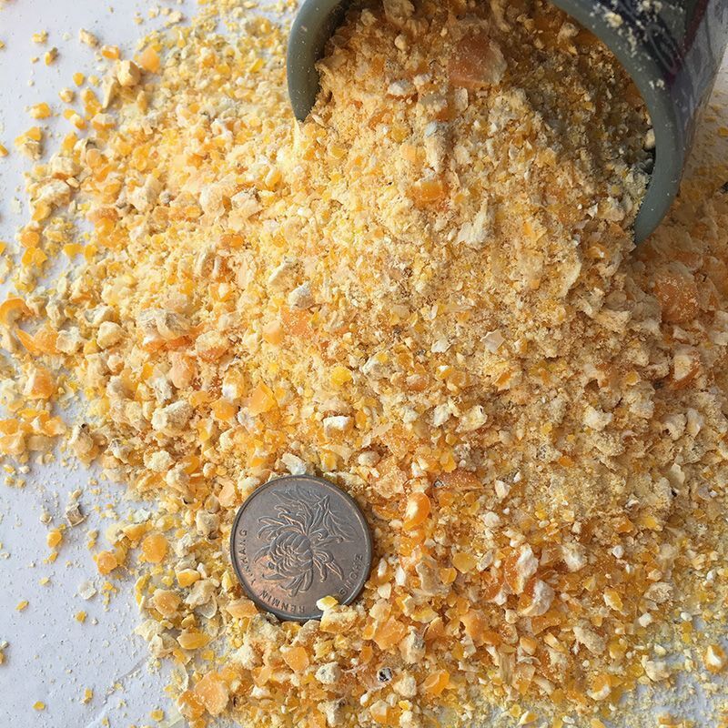 速发玉米粒喂鸡碎玉米渣鸡面粉料鸭鹅鸽饲料打窝流浪饲糁50斤