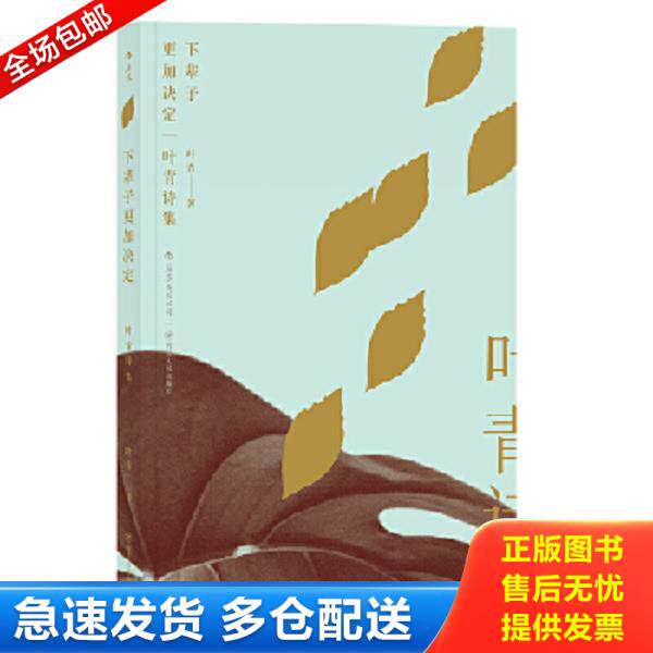 正版库存书9787220104107 下辈子更加决定：叶青诗集 叶青 四川人民出版社