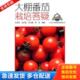 山东科学技术出版 正版 祝海燕等 大棚番茄栽培答疑 社 库存书9787533157128