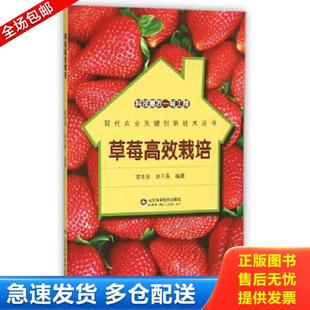正版库存书9787533180027 科技惠农一号工程 草莓高效栽培 雷世俊赵兰英 山东科学技术出版社