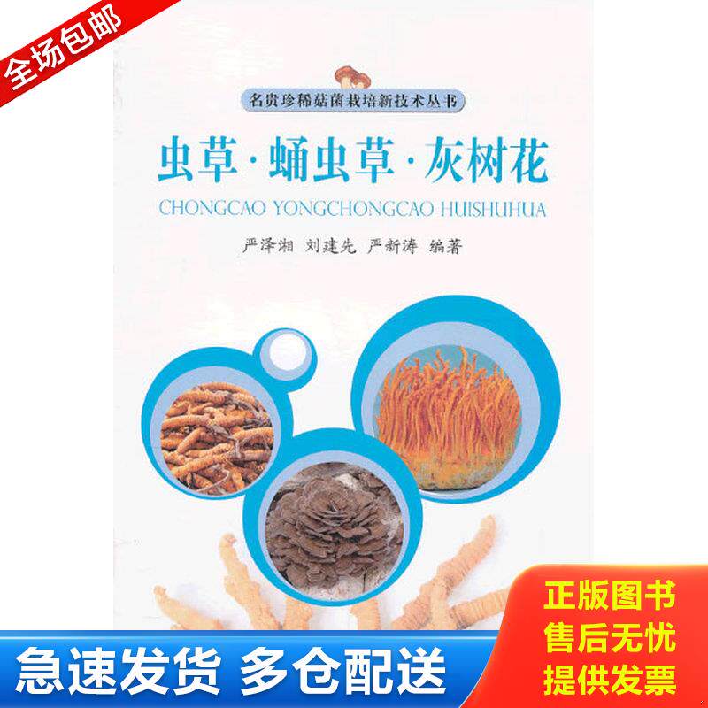 正版库存书中药材蛹虫草栽培技术大全/蛹虫草种植技术/病虫害防治1光盘1书籍 9787538022896 刘建先等 内蒙古科学技术出版社