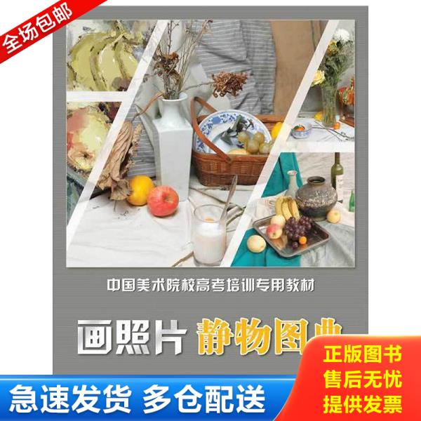 正版库存书9787535653826 中国美术院校高考培训专用教材·画照片：静物图典 赵锦杰 湖南美术出版社