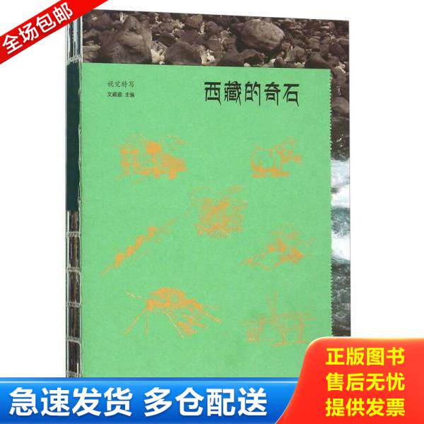 正版库存书9787115389404 西藏的奇石 文藏藏 人民邮电出版社